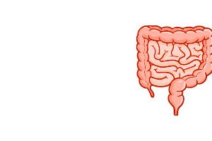 IRRITABLE BOWEL SYNDROME